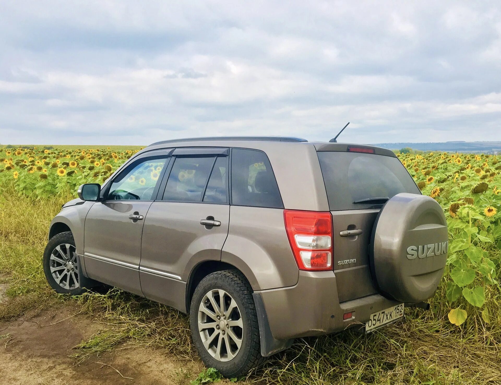 Омск купить гранд витару. Suzuki Grand Vitara 2.4 at, 2010. Suzuki Grand Vitara 2.4 at, 2008. Suzuki Grand Vitara all Terrain.