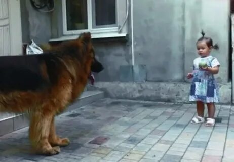 Жила была огромная собака