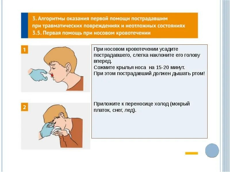 Холод при носовом кровотечении. ПМП при кровотечении из носа. При носовом кровотечении у пострадавшего. При носовом кровотечении у пострадавшего необходимо. При носовом кровотечении голову необходимо.