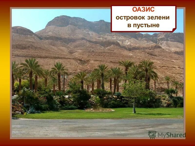 абу даби оазис. финиковая пальма в пустыне африки. как называется островок зелени среди пустыни. египет африка климат. государство на берегах нила оазис это.