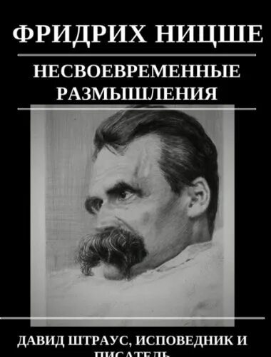 Ницше размышления. Ницше штраус.