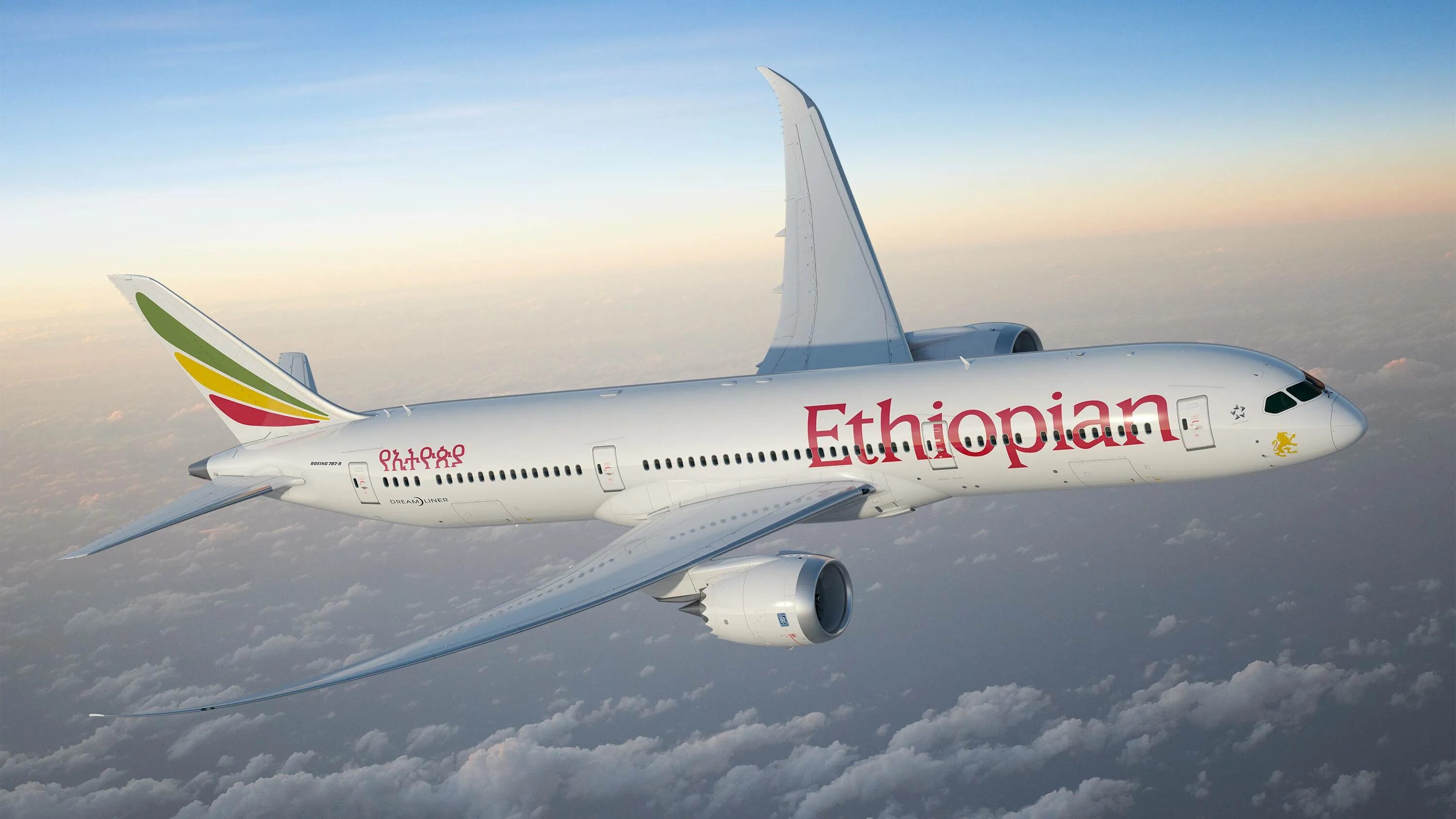 Ethiopian airlines рейс. Boeing 787 Ethiopian Airlines. Ethiopian Airlines 787 Dreamliner. Boeing 787-8 Эфиопия Эйрлайнс. Ethiopian Airlines самолеты.