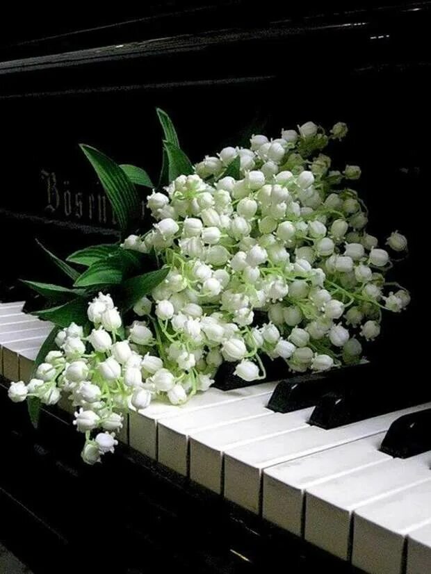 Красивые мелодии утро. Цветы на рояле. Красивый букет ландышей. Музыкальный букет цветов. Букет цветов на рояле.