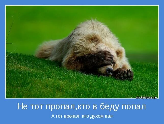 Попал картинка. Не тот пропал кто в беду попал. Пал духом. Пасть духом. Попадая в беду.