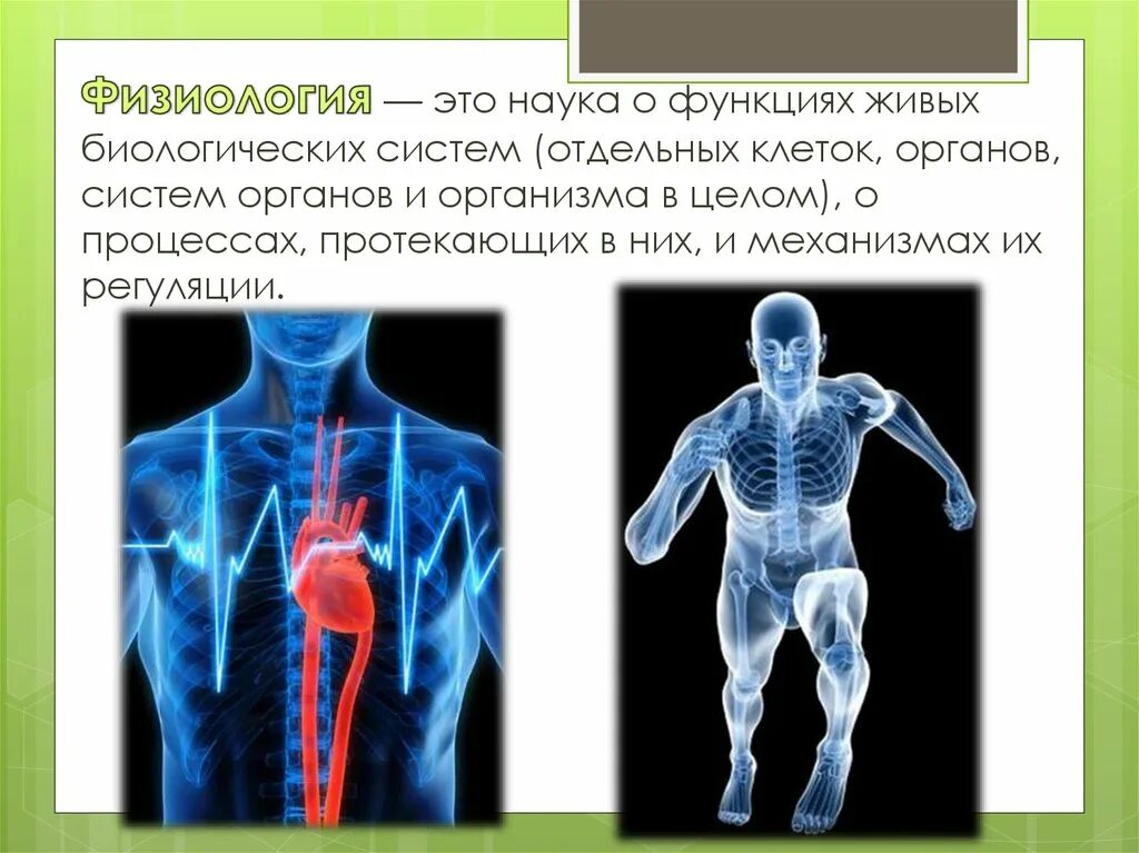 Физиолог человека. Анатомия и физиология человека презентация. Разделы физиологии человека. Физиология это наука изучающая. Физиология человечек.