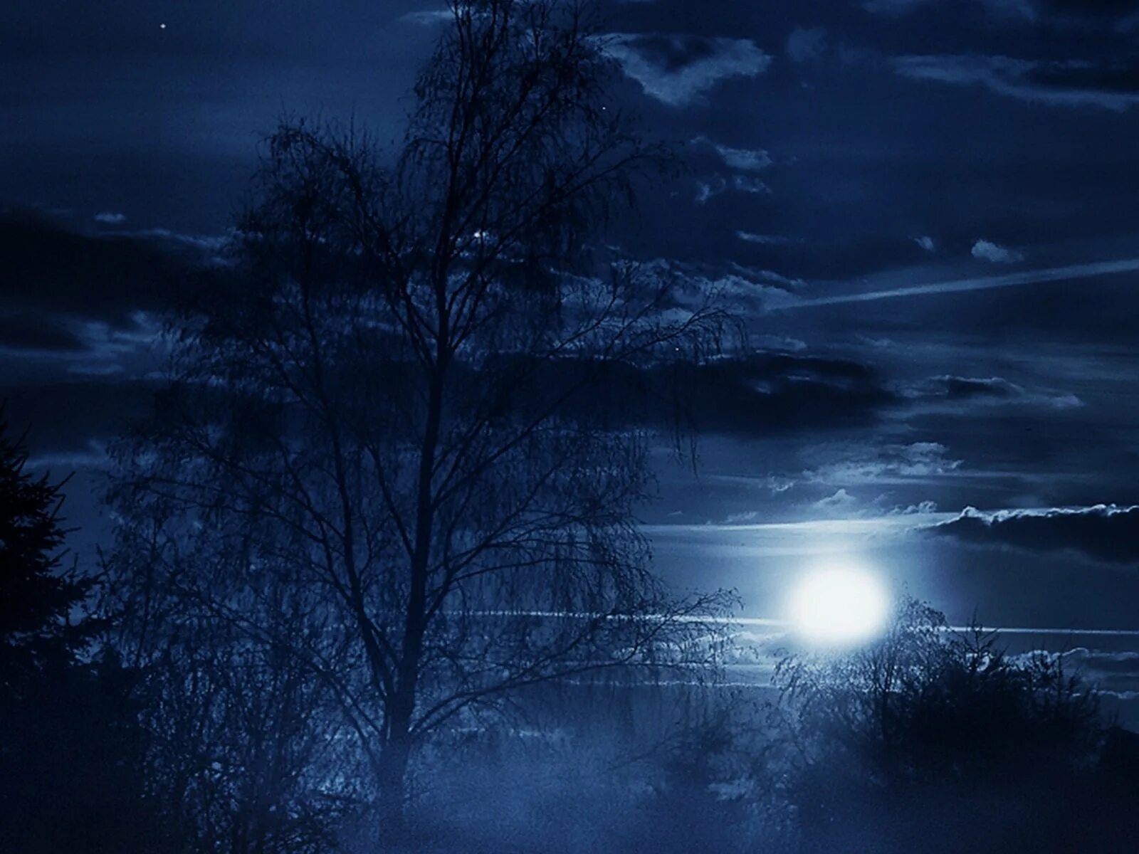 Тихий вечер вечер сине. Темная ночь. Ночная природа. Природа ночью. Темный вечер.