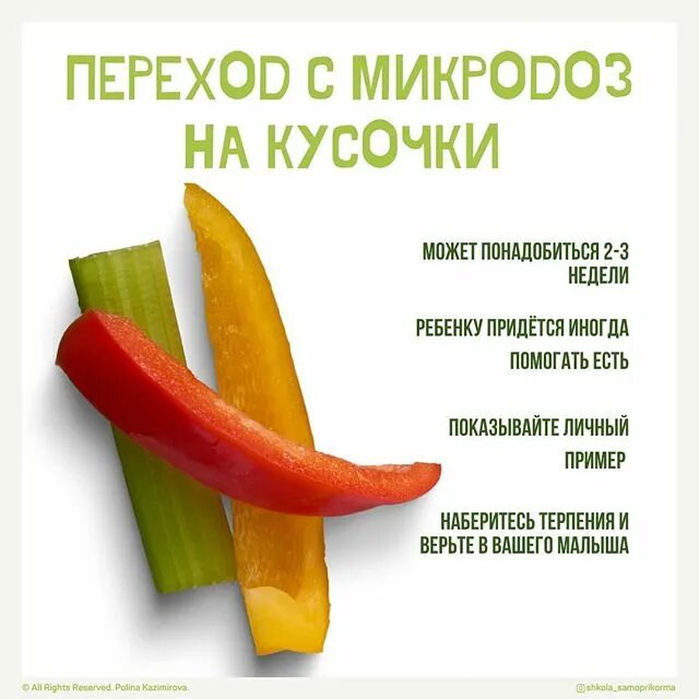 Блв прикорм. Схема введения прикорма педиатрия. Схема прикорма ребенка в 6 месяцев. План прикорма. Блв прикорм.