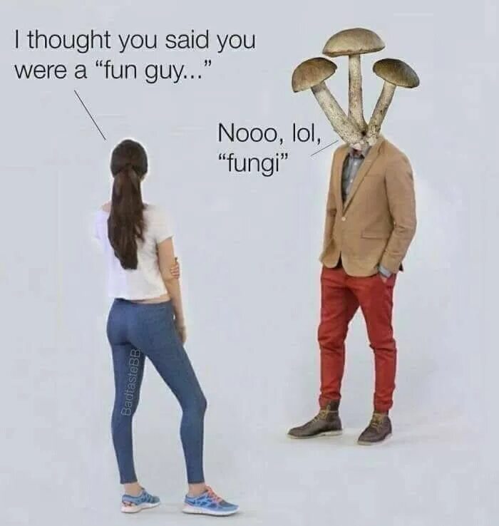 Fungus Мем. Мем have a fungus. Гриб fun guy. Гриб Мем. Fun guys