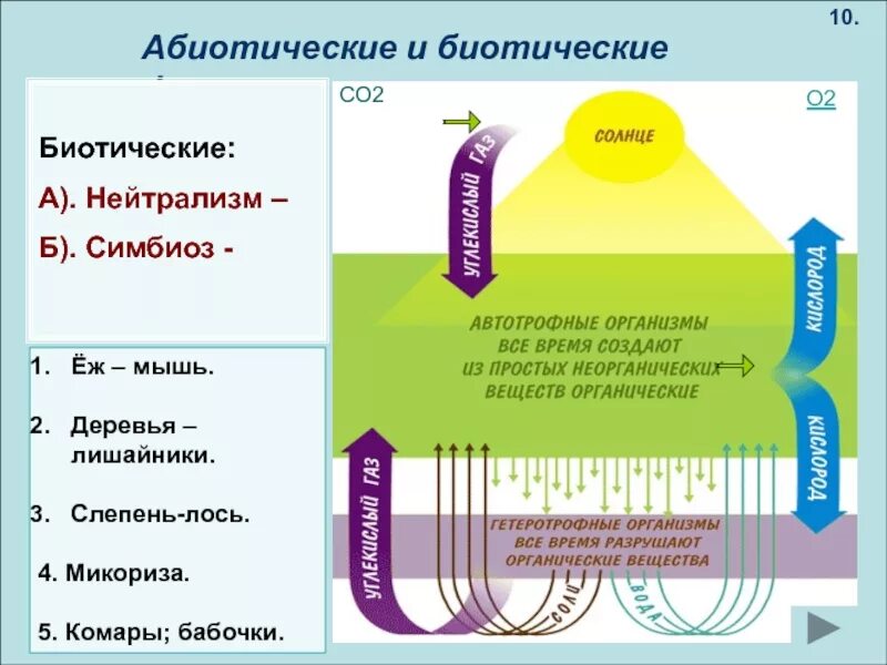 Примером абиотического фактора является ответы. Абиотические и биотические факторы. Абиотический 2) биотический. Виды биотических факторов. Биотические факторы примеры.