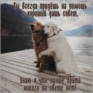Хорошего дня брату