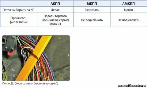 Новой точки подключения