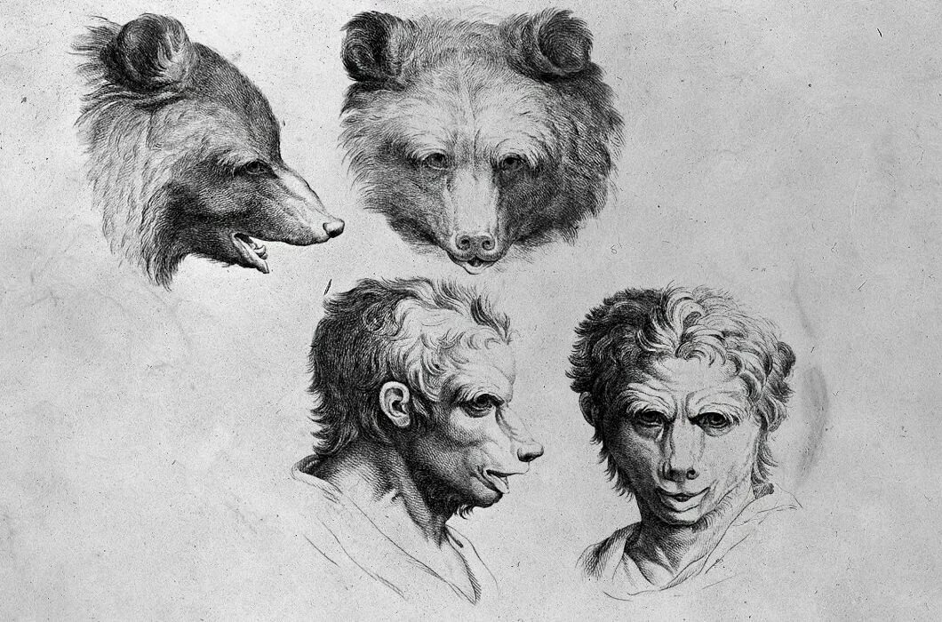 Картинки нарисованных людей животных