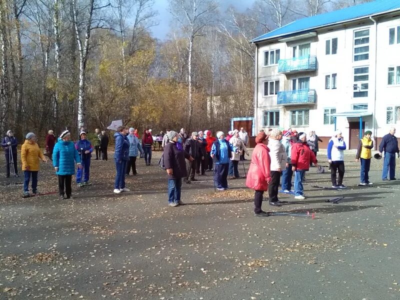 Погода в назарово сегодня. Березовая роща Назарово. Березовая роща город Назарово. Парк роща в Назарово. Березовая роща 7/2 в Назарово.