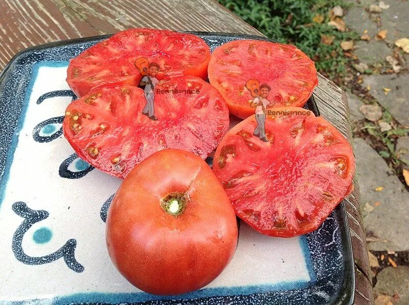 Томат вкусное вино. Томат Винтаж вайн. Томат Гном вкусное вино. Помидор Марочное вино.