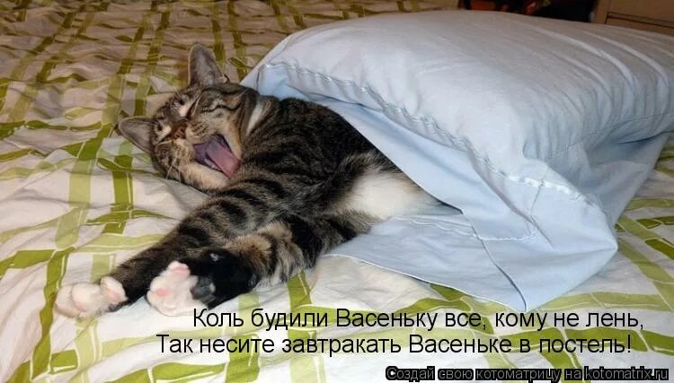 надпись пантера. понедельник, проспал. картинка как я сплю. кот буди. человек после сна.