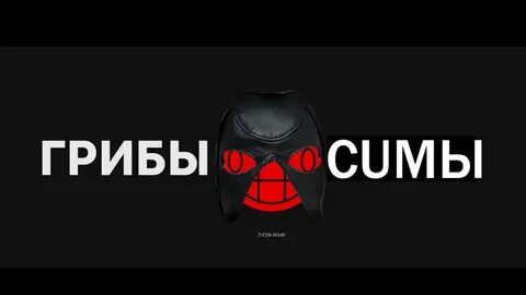 Песня копы
