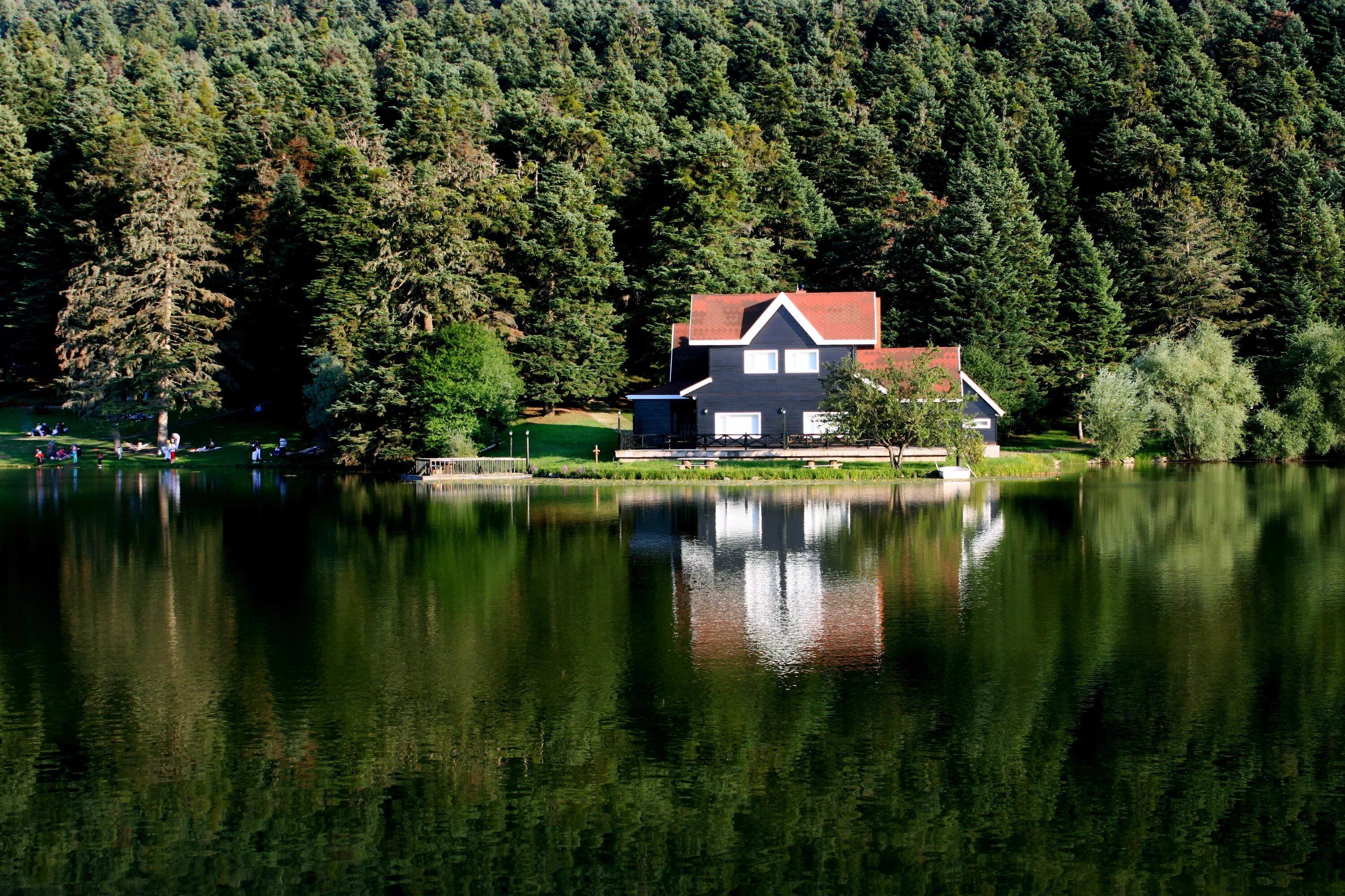 House near the lake. Озеро Абант. Домик у реки в Йёльстере. Норвегия. Дом Уилла Смита озеро. «Дом у озера Ванзее» (1925.