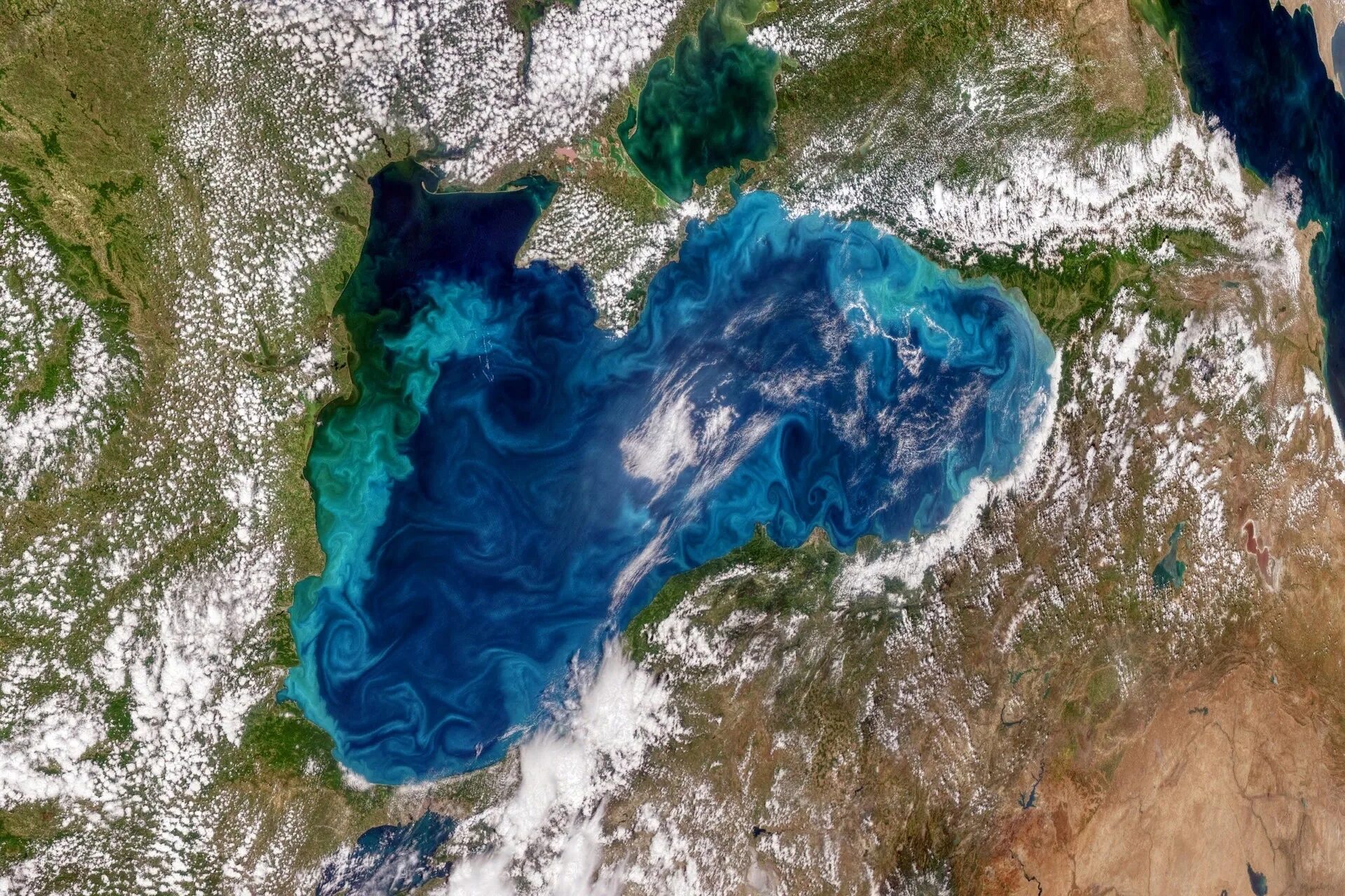Черное море снимок из космоса. Атлантический океан снимок из космоса. Черное море снимок со спутника. Саргассово море со спутника. Черное море в реальном времени