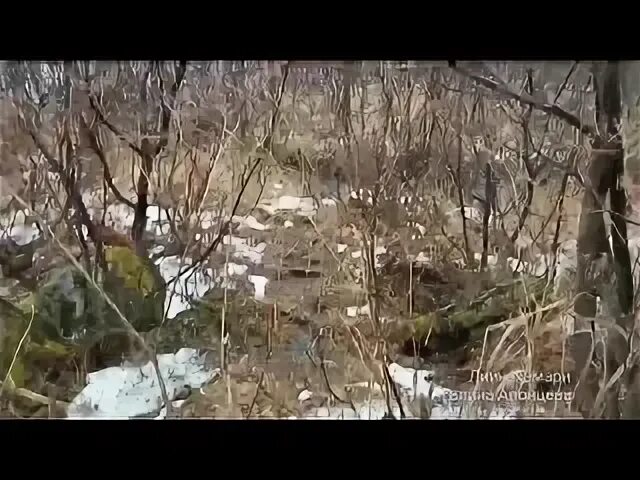 Течет ручей клип
