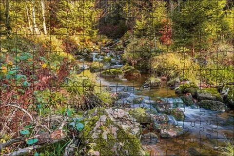 Wild environment