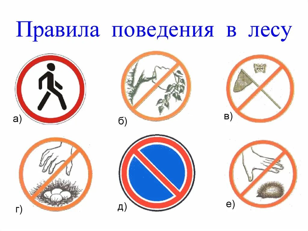 Безопасные знаки окружающий мир. Правилаьповедения в лесу. правила поведения в лесу. правила поведения вилесу. знаки правил поведения.