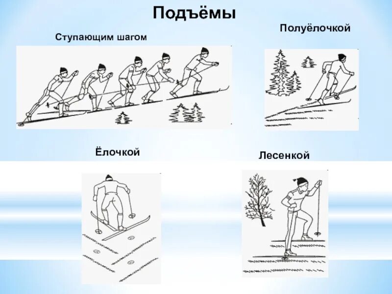 Техника подъема елочкой и полуелочкой. Лесенка лыжный ход. Подъемы елочкой полуелочкой лесенкой. Техника выполнения подъёма на склон лесенкой, ёлочкой. Способ подъема елочка