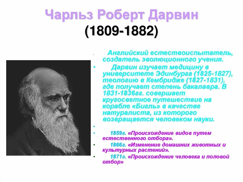 Эволюционное учение Чарльза Дарвина. Эволюционное ученик Чарльза Дарвина.