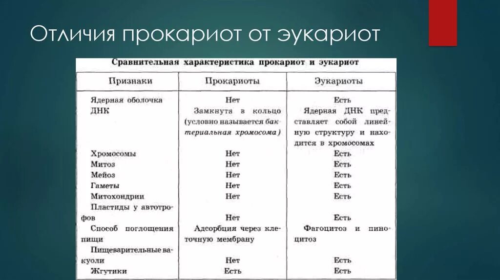 Клеточная биология прокариотов и эукариотов
