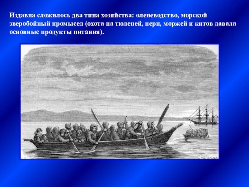Морской зверобойный промысел и оленеводство какой народ. Поморы зверобойный промысел. морской зверобойный промысел. морской зверобойный промысел на чукотке. зверобойный промысел у чукчей.