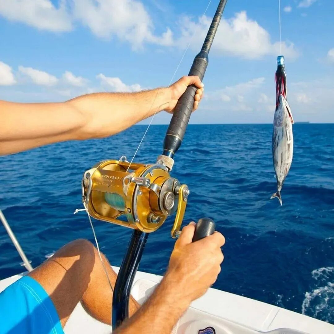 Tour fishing. Tour fishing. Морская рыбалка. Рыбак на яхте. Рыбалка в краби.