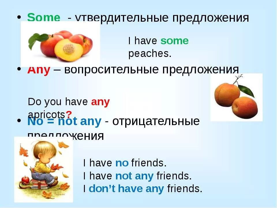 Упражнения any some a an 5. Some any в отрицательных предложениях. Предложения с some. Предложения со словами some и any. Some any в вопросительных предложениях.