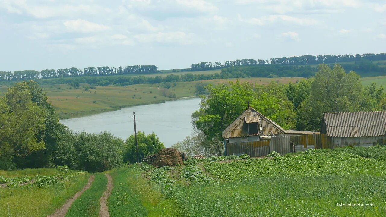 Черемушки курская область. Черемошки Льговский район. Черемошки Льговского района Курской области. Село Черемошки Льговского района Курской области. Деревня Шерекино Льговский район.