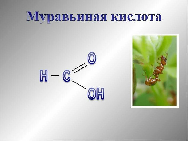 Муравьиная кислота. Строение муравьиной кислоты. Муравьиная кислота формула. Муравьиная кислота состав. Муравьиная кислота в крапиве