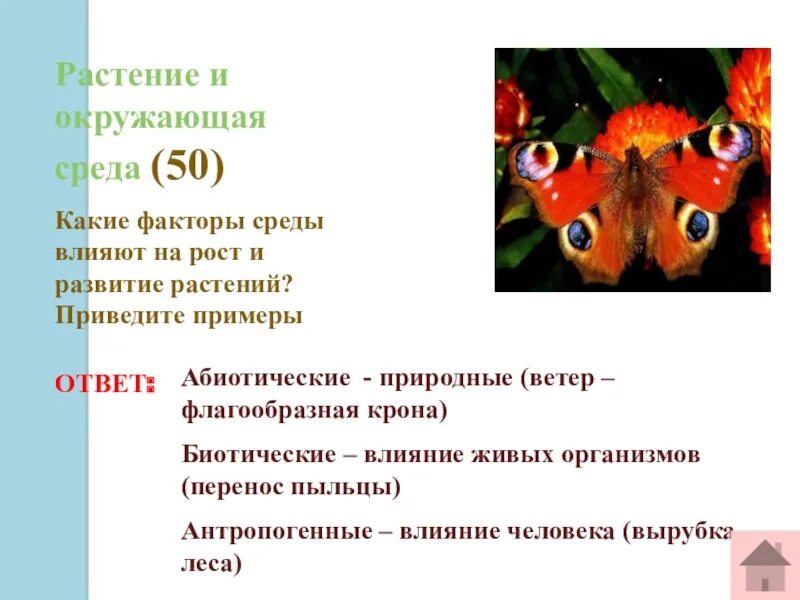 Жизнедеятельность растений 6 класс биология контрольная работа. Процессы жизнедеятельности биология 6 класс. Процессы жизнедеятельности растений 6 класс биология. Основные процессы жизнедеятельности растений. Процессы жизнедеятельности по биологии 6 класс.