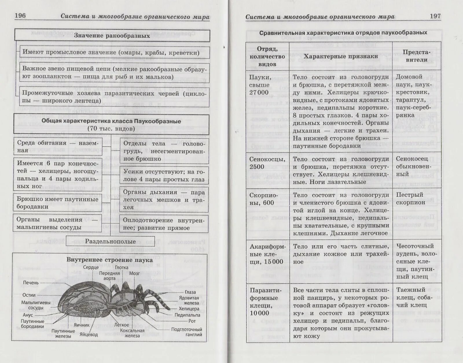 Отличие насекомых от паукообразных и ракообразных. Общая характеристика паукообразных 7 класс биология таблица. биология 7 класс тип членистоногие класс ракообразные таблица. таблица ракообразные паукообразные насекомые. таблица членистоногие 7 класс биология.