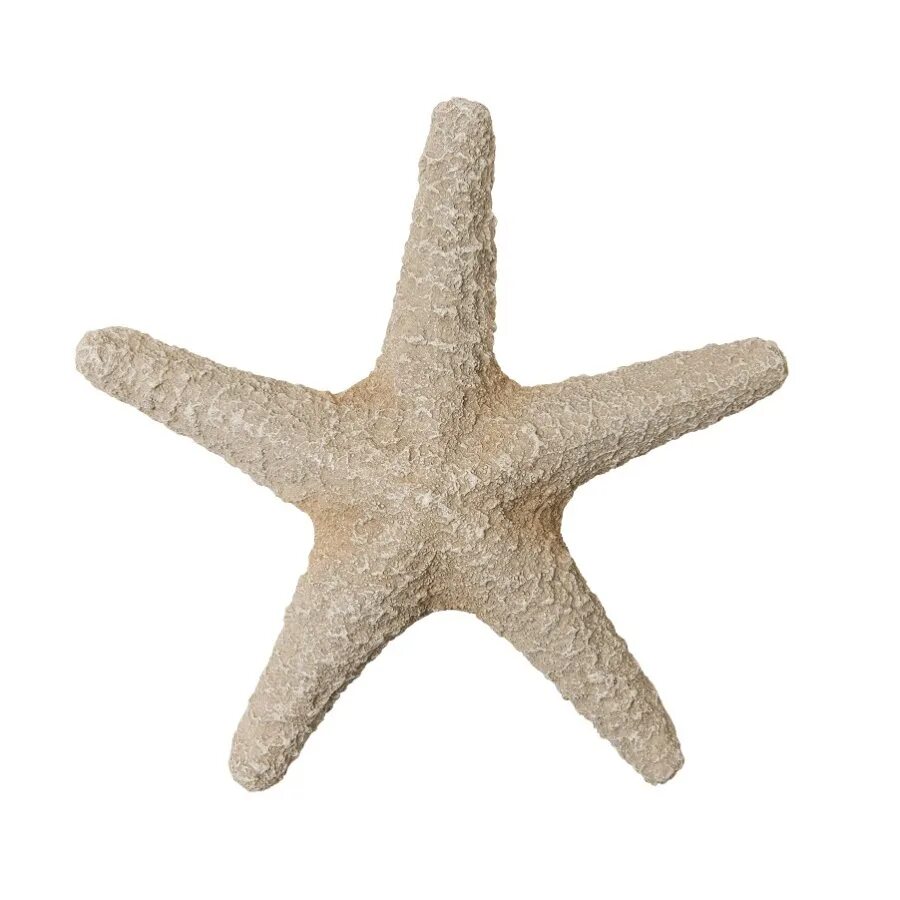 Морская звезда купить. Держатель SONWELLE морская звезда 2022star. Декоративные морские звезды. Декор "морская звезда". Морская звезда игрушка.