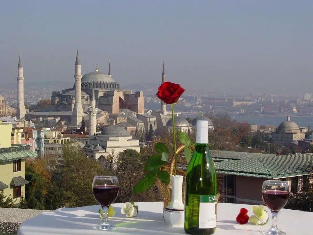 Стамбул полететь. Хали отель Стамбул. Ресторан Hagia Sophia Terrace Стамбул. Султанахмет Стамбул Топкапи. Hali Hotel 3 Султанахмет.