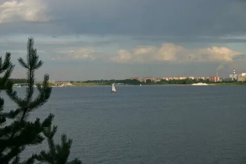 Куда бердск