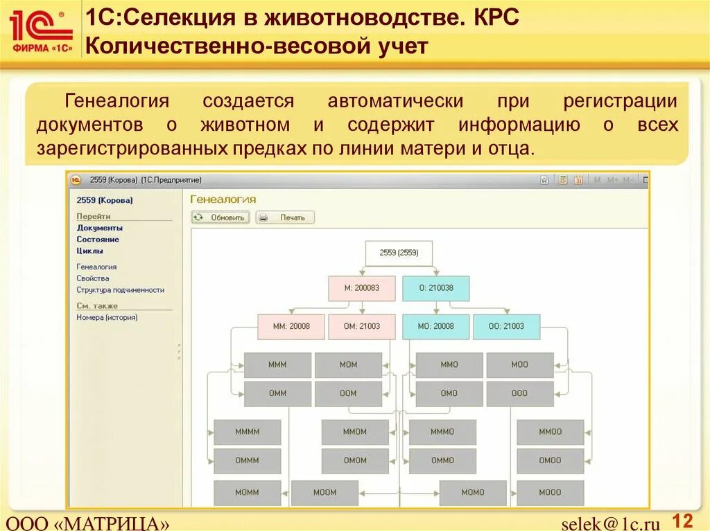 Селекция в животноводстве. Программа 1с для крс. назначение программы 1с селекция в животноводстве.