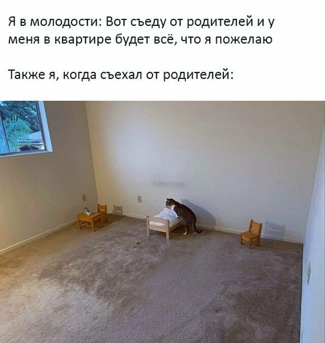 Можно в 16 лет жить отдельно