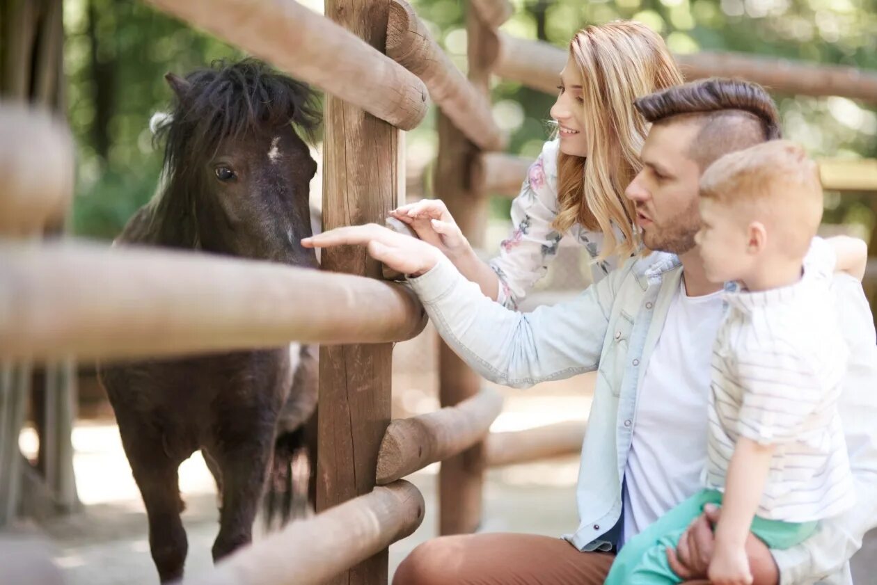 1 раз в зоопарке. Семья в зоопарке. дети в зоопарке. фотосессия семьи в зоопарке. мама с ребенком в зоопарке.