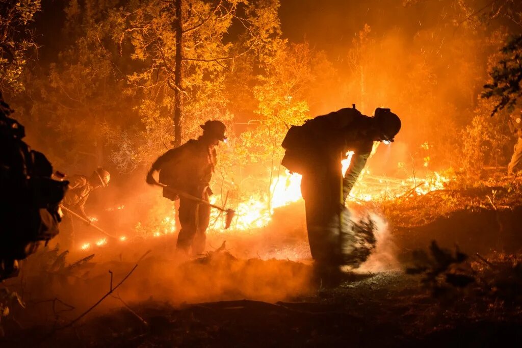 Fire crews hunt. Пожары в калифорнии. Fire crews hunt. Crew of firefighters. Fire crew.
