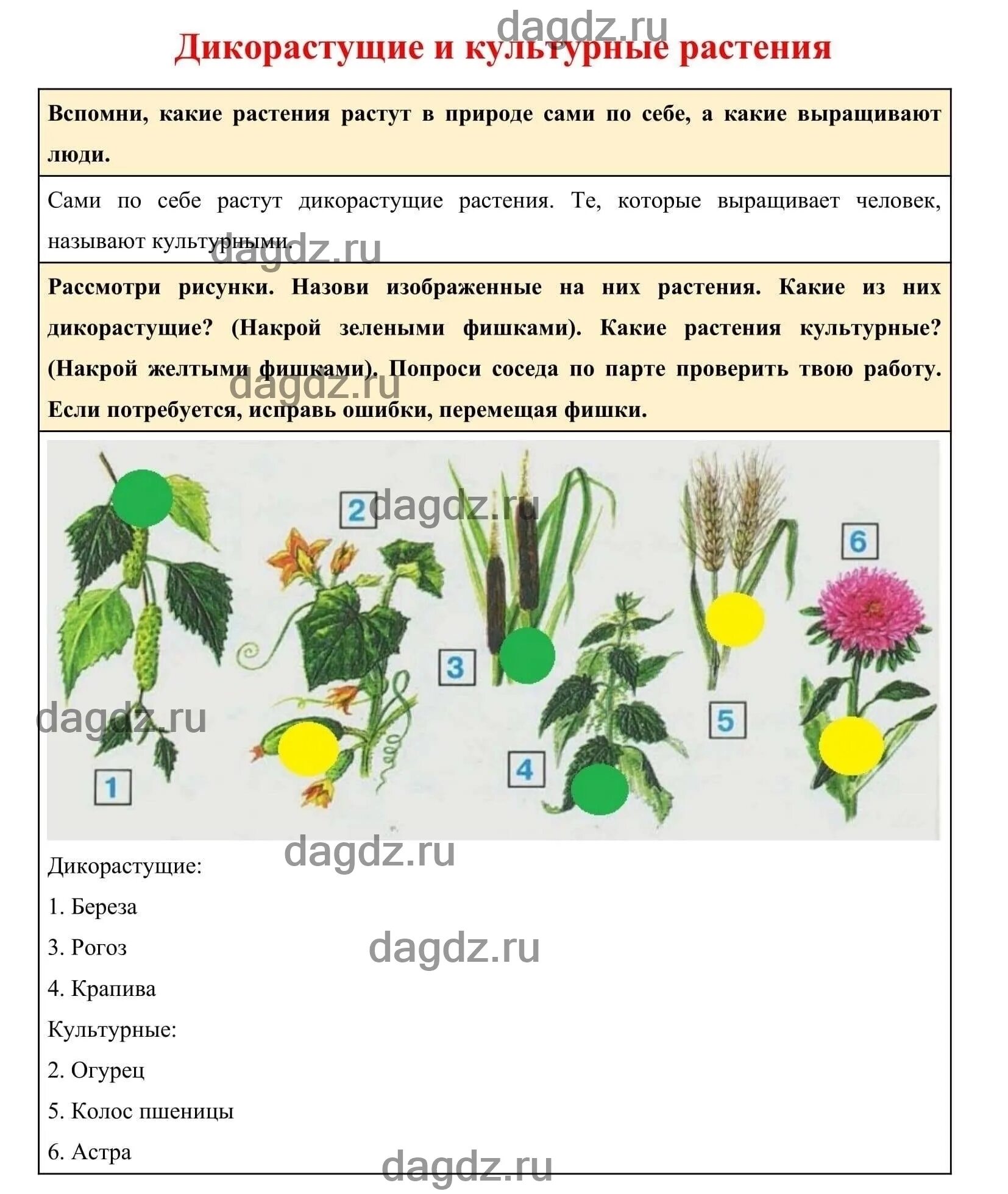 Окружающий мир 2 класс стр 68 учебник