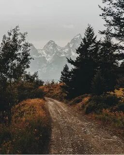 Эстетик картинки природы