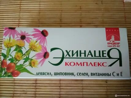Биокор эхинацея