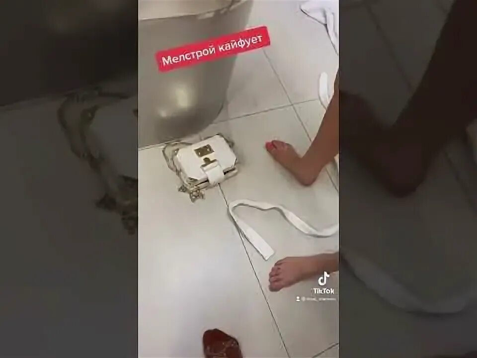 Мелстрой задонатил бобрихе момент со стрима. Мелстрой задонатил бобрихе момент со стрима