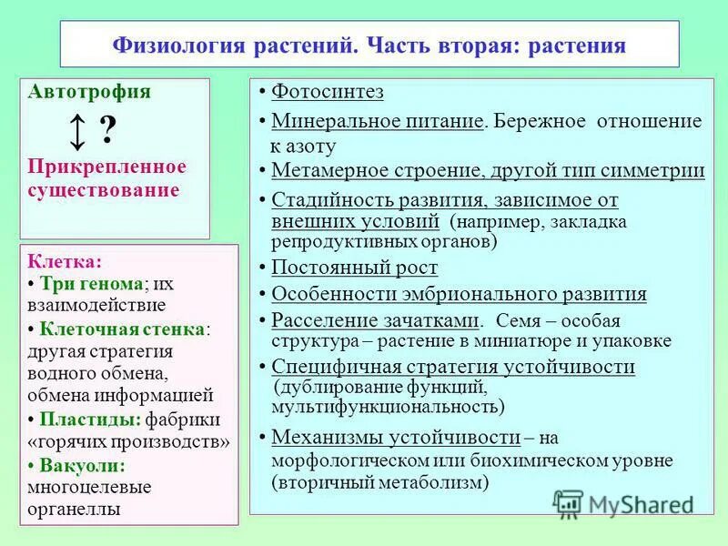 цели и задачи физиологии растений. история физиологии растений. история физиологии растений. задачи физиологии растений. историческое развитие физиологии растений.
