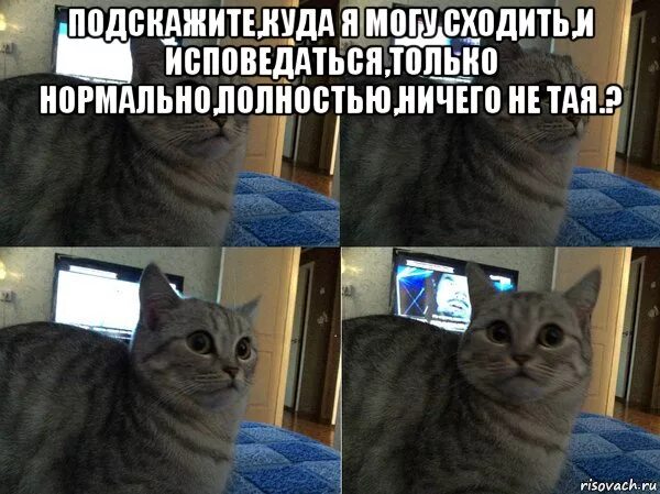 Ничего не таи
