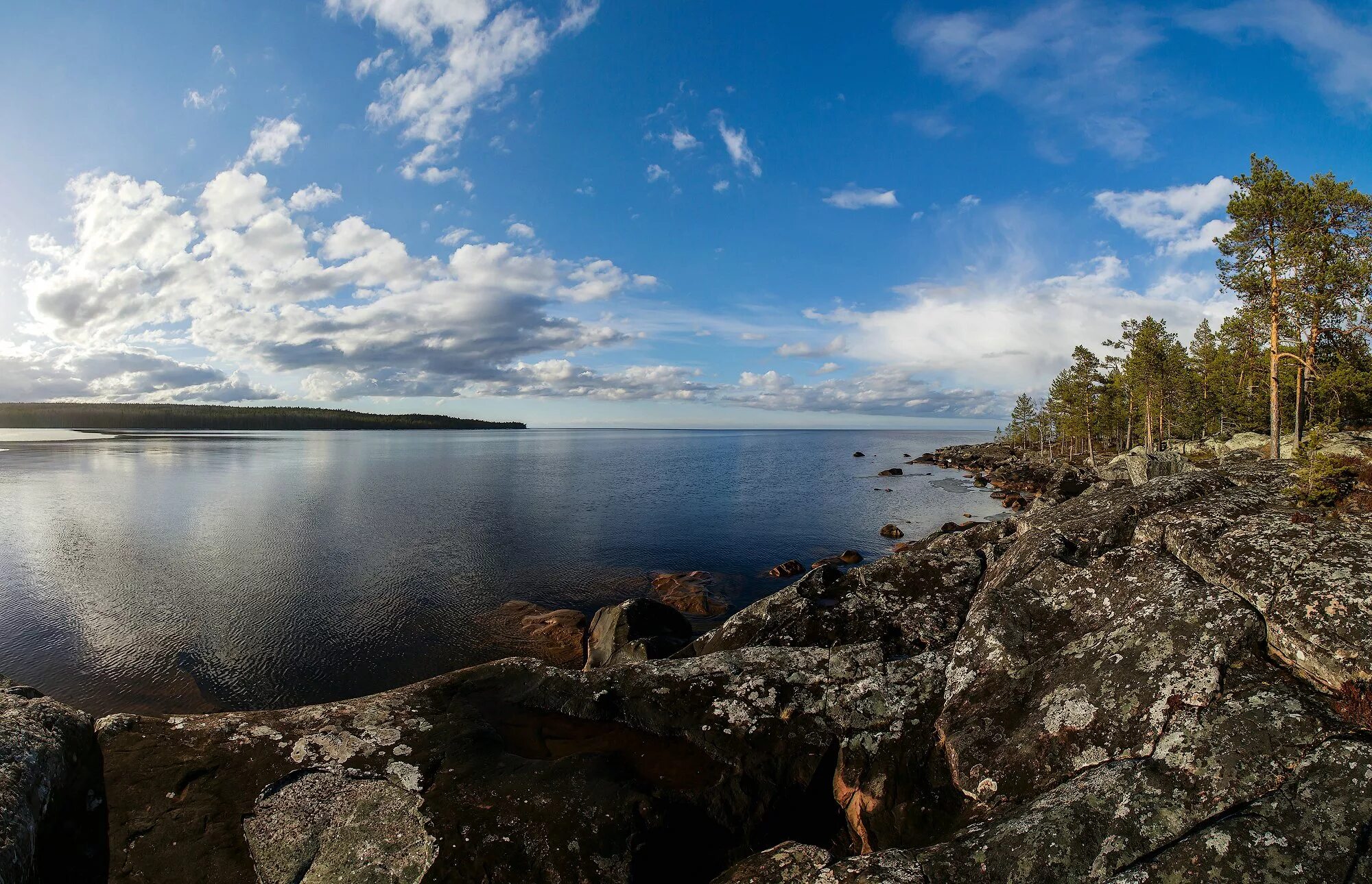 Белое море Карелия. Озеро Хедо Карелия. Белое озеро Карелия. Пяозеро (озеро). Крупнейшие озера европейского севера