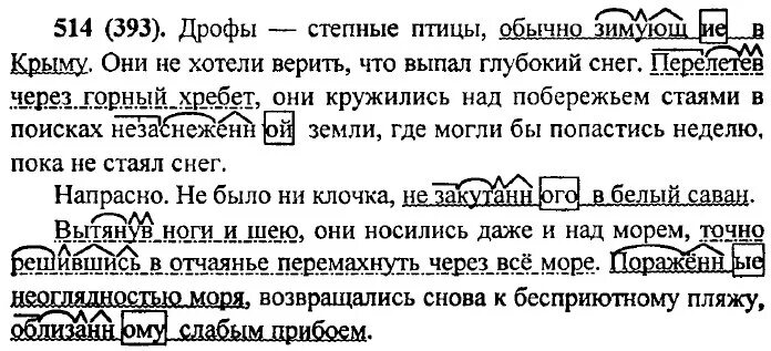 Упр 514 русский язык 6 класс ладыженская. Русский язык 6 класс упражнение 514. Русский язык 6 класс Разумовская номер 393. Русский язык 6 класс номер 393.